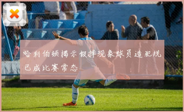 哈利伯顿揭示假摔现象球员造犯规已成比赛常态
